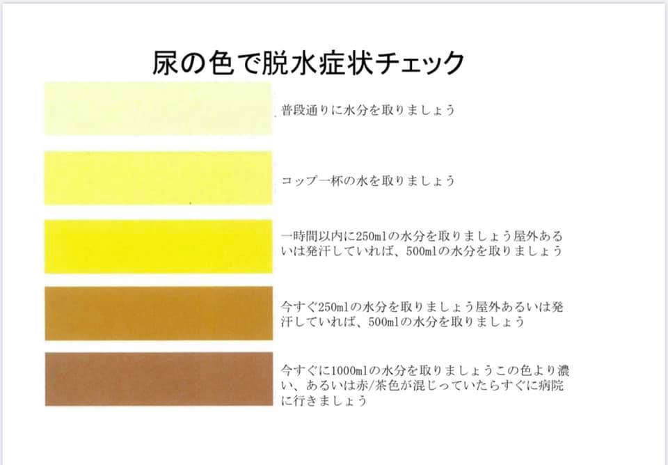 6 8 月 14日 日 萩原店 スケジュール ブルーポイント鍼灸整骨院